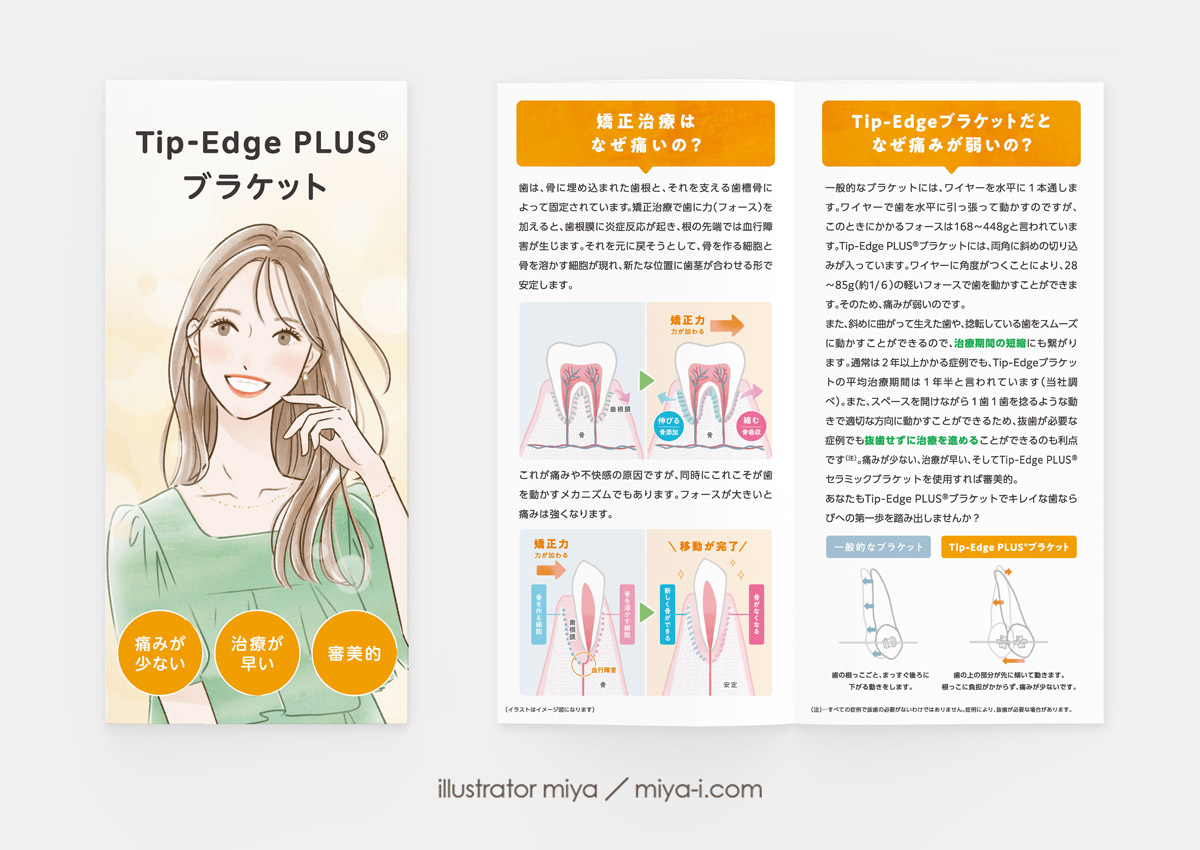 女性イラスト・パンフレット・おしゃれ・イラスト・表紙・広告・笑顔・矯正システム・歯科矯正用ブランケット