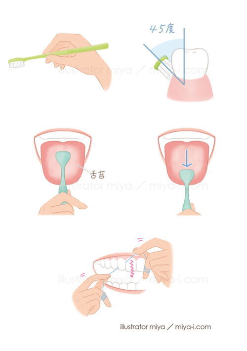女性イラスト・おしゃれ・美容・オーラルケア