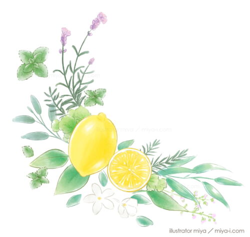 植物・ハーブ・レモンイラスト・背景・模様・花・シトラス