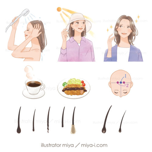 女性イラスト・おしゃれ・かわいい・ヘアケア・抜け毛・育毛・毛根・髪の毛・薄毛