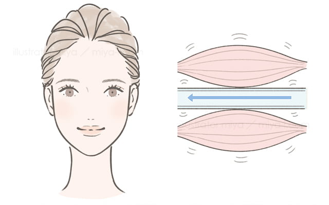 女性イラスト・おしゃれ・美容