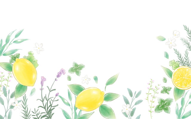 植物・ハーブ・レモンイラスト